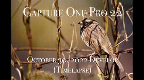 Capture One Pro 22 Free Online Version
